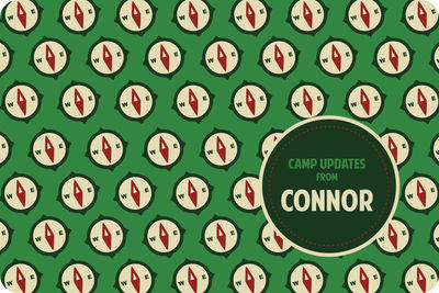 Camp Compass Postcard