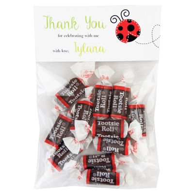 Little Ladybug Birthday Party Candy Bag Favors