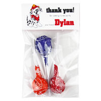 Firehouse Pet Birthday Party Candy Bag Favors